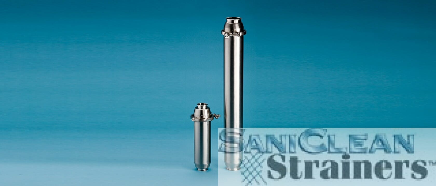 Sanitary Inline 3A SaniClean Strainers for Food, Beverage & Pharma
