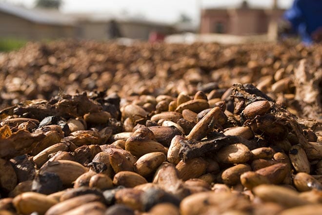 Chocolate Processing: The Science Behind the Sweet Tooth-1