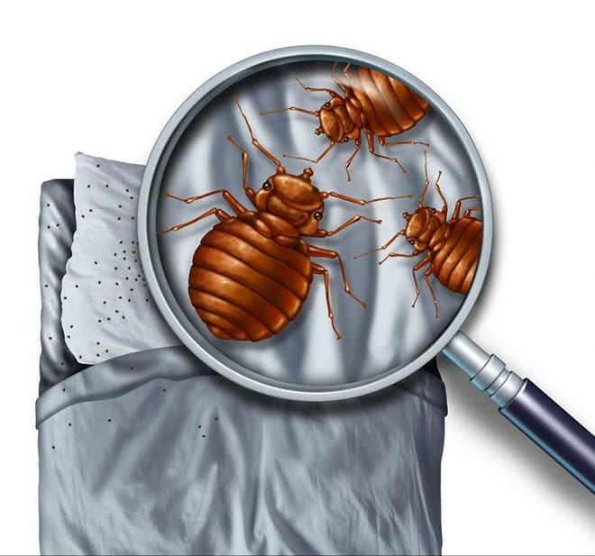 Pest Control Applications